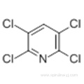 Pyridine,2,3,5,6-tetrachloro- CAS 2402-79-1